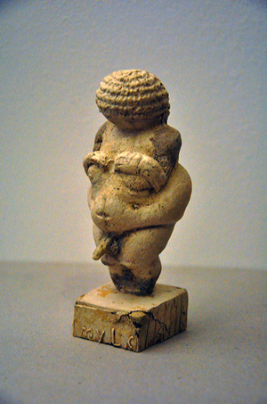 adonis_willendorf.jpg